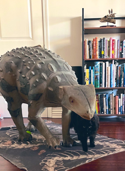 A black cat next to a life-sized Ankylosaur statue in a living room