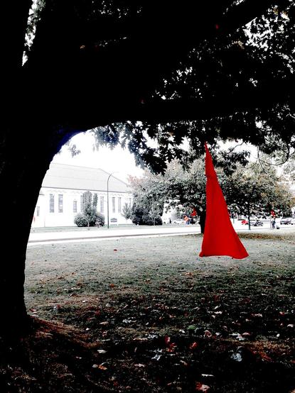 A blood-red dress hangs from a tree, mostly in silhouette.  All colour in the sky and grass and leaves is desaturated, leaving only the dress bright. It flows softly in the wind. Other red dresses are barely visible hanging from other trees in the distance. No people are visible. The mood is somber.


Photograph by Edna Winti, CC BY 2.0. Art installation inspired by Métis artist Jaime Black, at Seaforth Peace Park, Vancouver, on the National Day for Vigils for Missing and Murdered Indigenous Women, 2016.