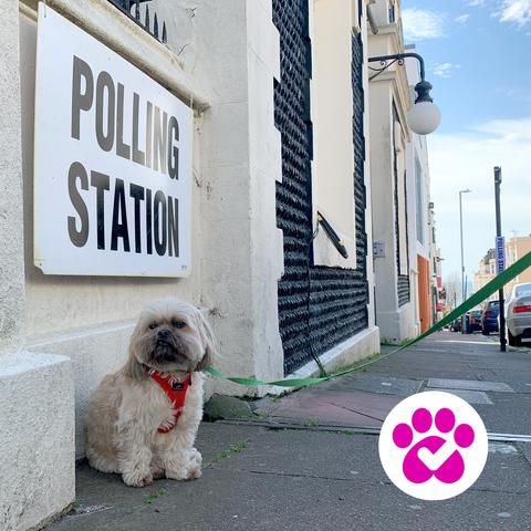 a dog sitting next a sign reading 'polling station'