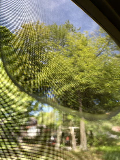 a bright and sunshiny day seen through a screen patio and sunglasses