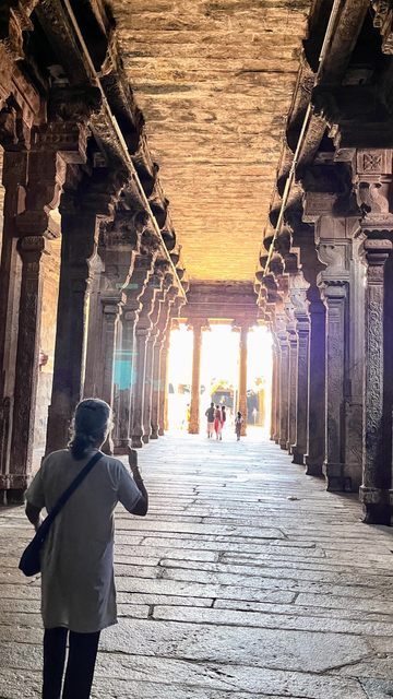 Carved stone pillars in an area of a Hindu temple. Pillars are on the right and left side of the photo. Day light is seen at the end of the hall.