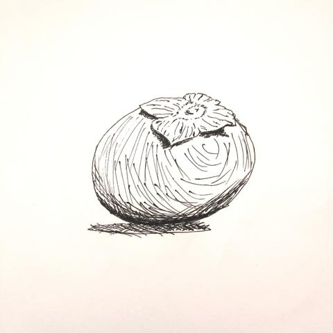 doodle of a persimmon