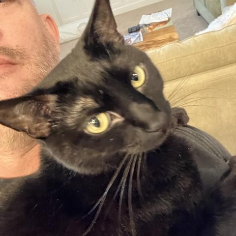 Cinder and cinco de Mayo margarita