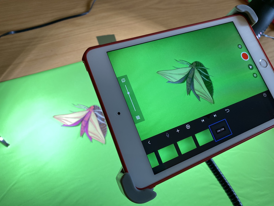 An iPad is suspended on a stand above a green screen. The tablet is currently using the app Stop Motion Studio to record an animation sequence of an Elephant Hawk Moth. The moth is recreated in cut out.