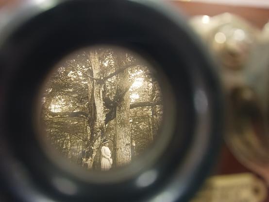 View through lens showing a slide depicting a woman in period dress standing beside a tree in a wood