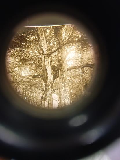 View through the other lens showing the same slide