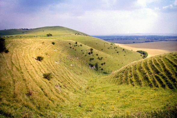 A range of low green hills, forming one side of a broad (farmed) valley. The hills are marked with parallel ridges (lynchets).