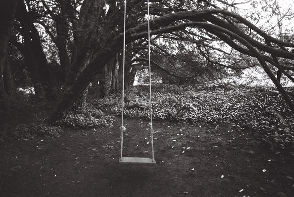 a black and white film photograph showing a swing in the lismore castle gardens, ireland