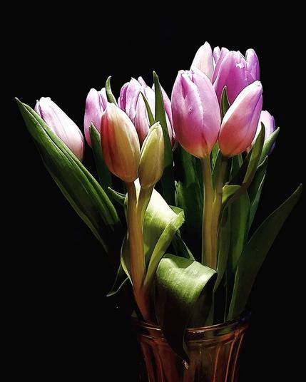 Photo of a bouquet of purple tulips taken at night. The bouquet is lit from above. The background is dark. Two of the stems have double tulip buds.