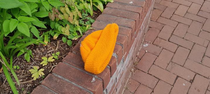 Knit beanie, mustard or maybe even "schoolbus" yellow, on a low brick wall between the brick path and the plants.