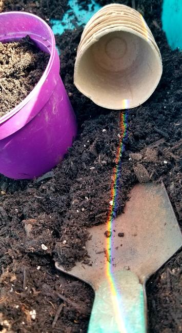 Rainbow prismatic light beams, in my wheelbarrow.