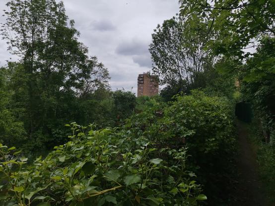 Vue depuis les jardins vers une tour couleur brique. Végétation luxuriante.