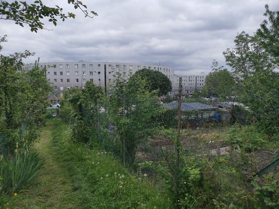Vue de la cité des Courtillières depuis les jardins.