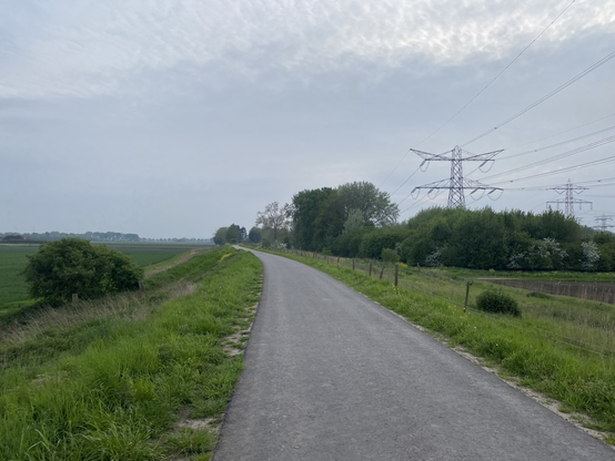 Buitengebied in Zevenbergen. In het midden ligt een asfaltweg en aan weerskanten liggen weilanden.