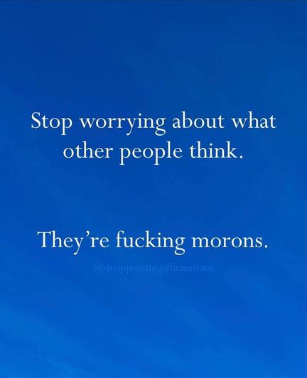 Motivating poster reading:

"Stop worrying about what other people think.

They're fucking morons"