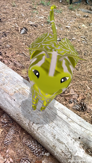 Admiral Craymen's dot, Lagi standing on a log.