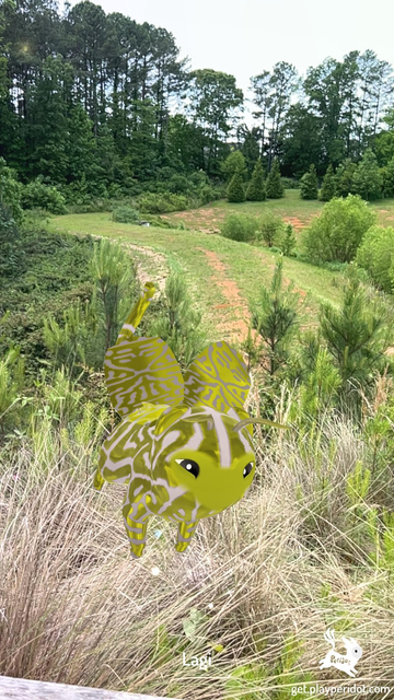 Admiral Craymen's dot, Lagi hovering in front of some tall grass with trees in the background.