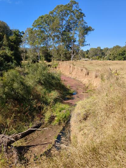 A grassy cow paddock on right, a sheer eroded wall separates paddock from water.