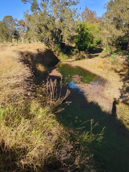 An eroded wall casts a shadow across the creek from the paddock edge. Azolla fern can be seen on the water.