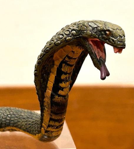 Close up of the head of a plastic snake toy