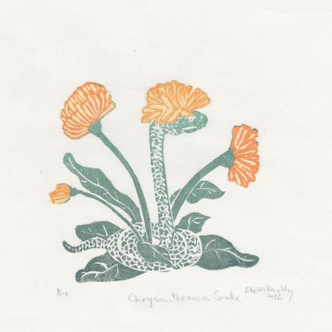 A square linocut print 8” x 8” with a grey-green snake with yellow flower-like scales on its head as it stands tall in its tail, disguised amongst yellow chrysanthemums with grey-green stems and leaves.