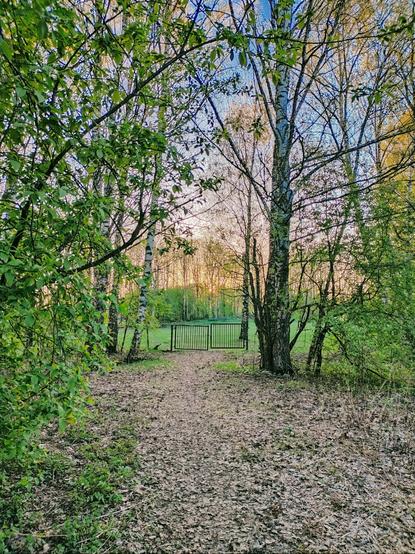 A nature path leading up to gates with a sunset in the background.