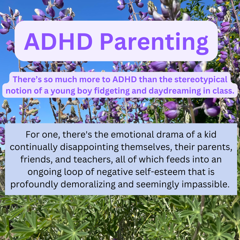 Photo of wildflowers. Text: 
ADHD Parenting There's so much more to ADHD than the stereotypical notion of a young boy fidgeting and daydreaming in class. 
For one, there's the emotional drama of a kid continually disappointing themselves, their parents, friends, and teachers, all of which feeds into an ongoing loop of negative self-esteem that is profoundly demoralizing and seemingly impassible.