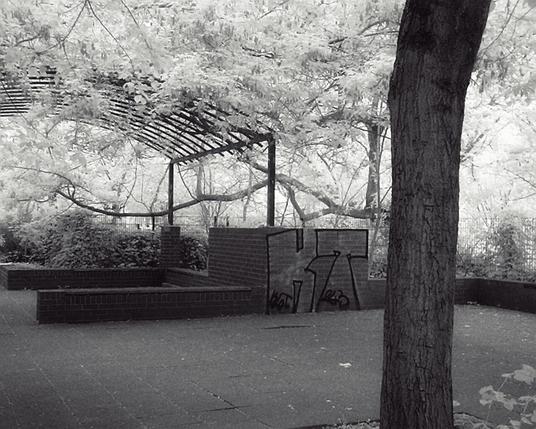 (same) photo as previous, but stripped of color, making a glowing black and white landscape that looks more like it was exposed analog with a film camera and Kodak HIE film.