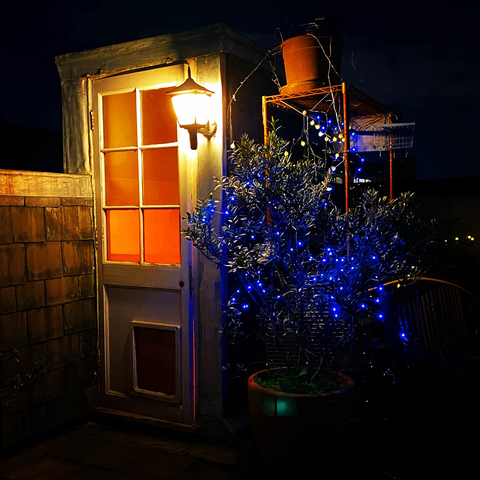 Standing outside on a roof terrace at night, door to terrace is closed but light inside house is coming through the glass panes on the door , and a potted plant with fairy lights in its branches