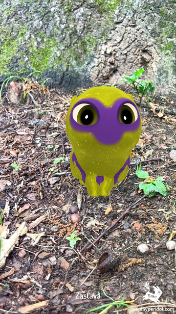 Admiral Craymen's dot, Zastava sitting in front of a tree.