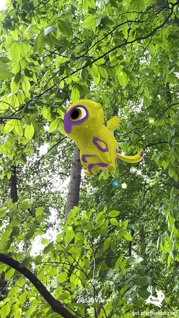 Admiral Craymen's dot, Zastava flying by a tree branch.