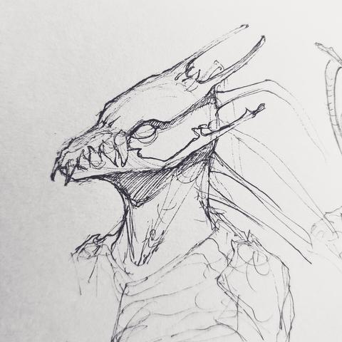 a sketch of an alien creature with a bony snout, big teeth and blank, round eyes.