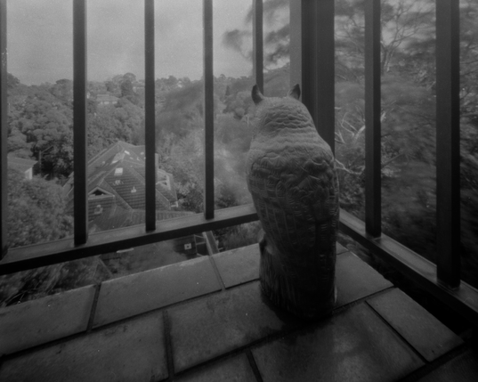 Black and white 4x5 pinhole photograph of an owl ornament at the corner of railings.