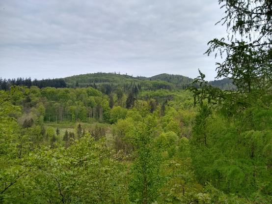 A hilly landscape. There is a valley covered with thick green forest in the foreground, with a small clearing in the middle. More hills covered with darker green forests are visible in the background. The sky overhead is blue covered with a lot of thin white clouds.