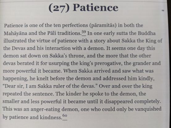 Patience is one of the 10 perfections in both of Mahayana and Pali traditions. In one early sutta the Buddha illustrated the virtue of patience with the story about Sakka the king of the Devas and his interaction with a demon. It seems one day this demon sat down on Sakka's throne, and the more that the other devas berated it for usurping the king's prerogative, the grander and more powerful it became. When Sakka arrived and saw what was happening, he knelt before the demon and addressed him kindly, "dear sir, I am Sakka ruler of the devas." Over and over the king repeated the sentence. The kinder he spoke to the demon, the smaller and less powerful it became until it disappeared completely. This was an anger-eating demon, one who could only be vanquished by patients and kindness.
