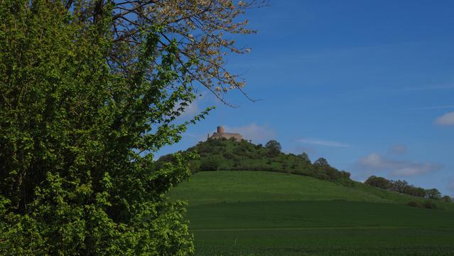 Desenberg mit Burgruine vor blauem Himmel