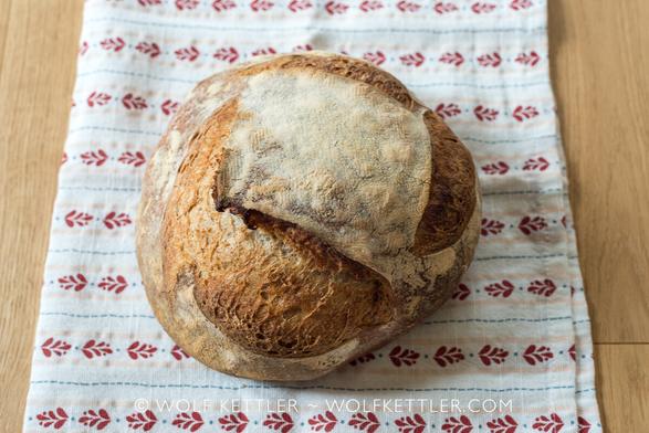 A round loaf, rustic country bread. The crunchy crust has lifted, where the bread was scored deeply before baking.