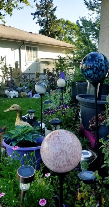 Our front gardens in the daytime. Many potted perennials & garden decorations, with solar lights mixed in.