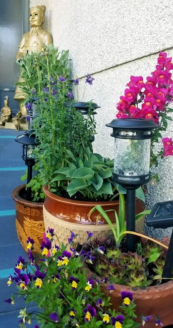 Our front porch gardens in the daytime. Many potted perennial plants & garden decorations, with solar lights mixed in.