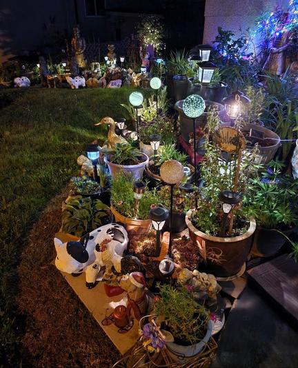 Our front gardens in the nighttime. Many potted perennials & garden decorations, with solar lights mixed in.