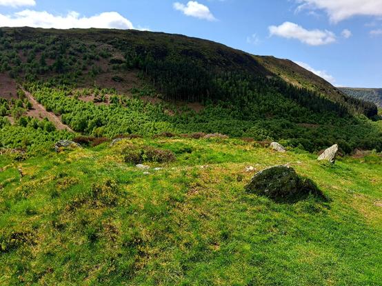 A Bronze Age kerbed cairn, with a kerb of upright stones leaning outwards, set on a little knoll above a valley. A steep hillside in shadow across the valley forms the backdrop.
