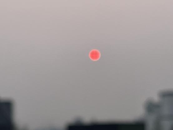 The picture is actually out of focus, but I like the effect it made.