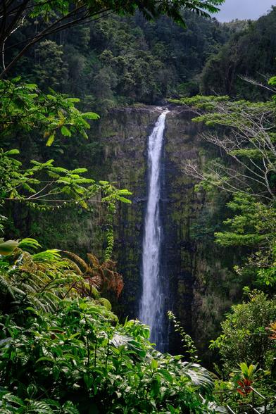 A tall waterfall rushing down a steep cliff. Lush rainforests all around.