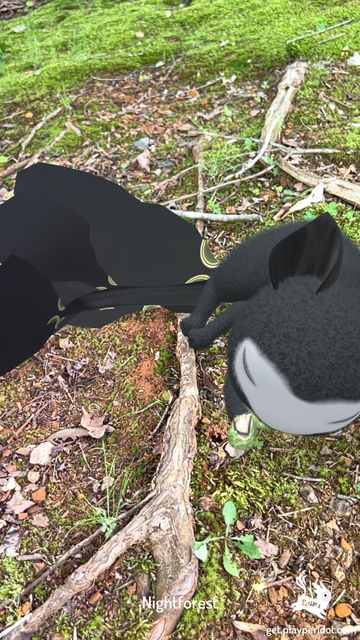 Admiral Craymen's dot, Nightforest sleeping on the ground.