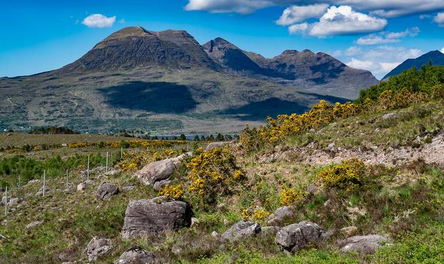 Typical Torridon landscape with gorse in the foreground.