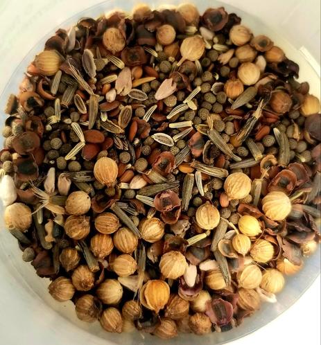 Beneficial bug mix of cover crop seeds.