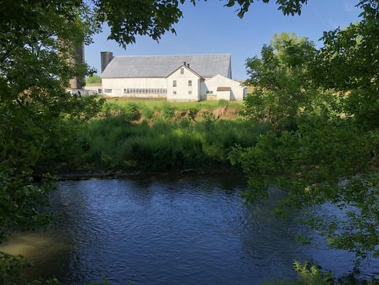 Horizontal format image.  Foreground, center to bottom of frame, a creek flows slowly with trees and other plants along the banks and sky color reflected in water.  Central to top, beyond the creek, is a white barn, farmhouse and silo, surrounded by green field and framed by tree branches.