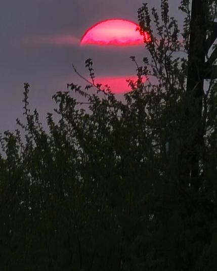 Smoke crosses the hot pink sun in a wide grey band as it sits above the silhouette of a bush.