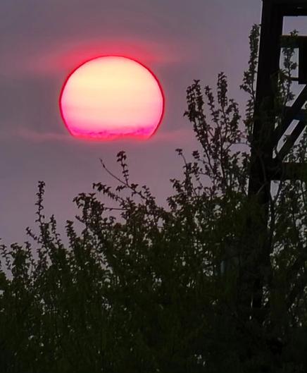 The sun looks light pinkish yellow with a red border and pink glow.
