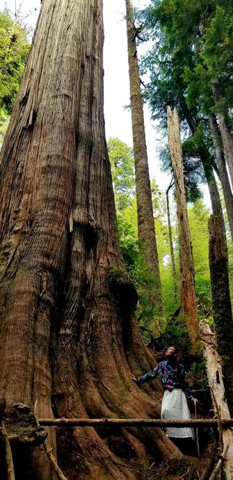 Me, standing with my cane in silver pleated skirt & multicoloured long sleeve top, at base of a giant old growth cedar tree.